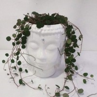 /album/fotogaleria-inicio/a14474351-1881095522110700-6764692715197169664-n-jpg/