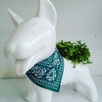 /album/fotogaleria-inicio/a14573993-763944537078330-1833060031541542912-n-jpg/