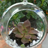 /album/fotogaleria-inicio/a14716466-719848481499299-5929854993883463680-n-jpg/