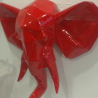 /album/fotogaleria-inicio/a20633489-335320700257110-7178022766988230656-n-jpg/