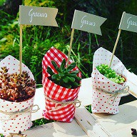 /album/fotogaleria-inicio/regalos-jpg/