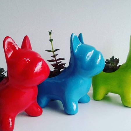 Perro Bulldog Frances en ceramica y resina   Todos los  colores Incluye planta suculenta   Valor :$  30.OOO  COP  Unidad - Incluye envio en Bogota  Entrega 5 dias.