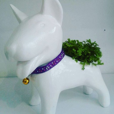 Perro Bull Terrier En ceramica y resina  Todos  los colores - Incluye  planta Suculenta  Valor: $ 60 000 Cop  unidad - Inlcuye envio en Bogota .Entrega 5 dias. 