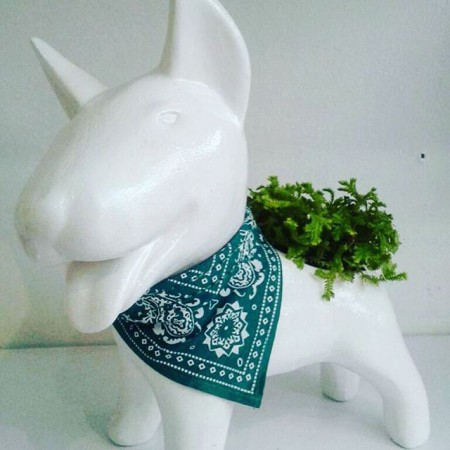 Perro Bull Terrier En ceramica y resina Todos los colores - Incluye planta Suculenta Valor: $ 60 000 Cop unidad - Inlcuye envio en Bogota .Entrega 5 dias.