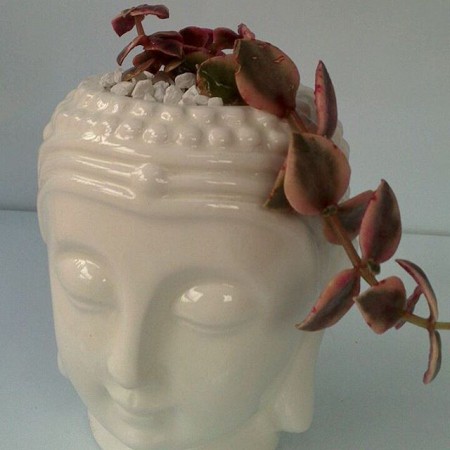 Buda en Ceramica y resina Todos los colores .Incluye planta suculenta u otra variedad de acuerdo con el diseño . Valor : $ 50.000 COP Unidad -Incluye envio en Bogota   Entrega  5 dias
