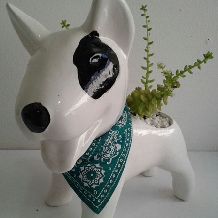 Perro Bull Terrier En ceramica y resina Todos los colores - Incluye planta Suculenta Valor:  $60 000 Cop unidad - Inlcuye envio en Bogota Entrega 5 dias..