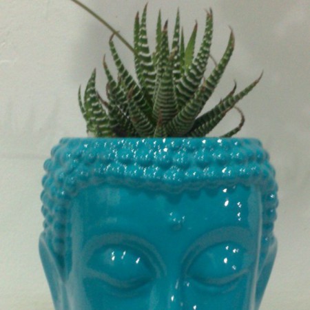 Buda en Ceramica y resina Todos los colores .Incluye planta suculenta u otra variedad de acuerdo con el diseño . Valor :  $ 50.000 COP Unidad -Incluye envio en Bogota Entrega  5 dias