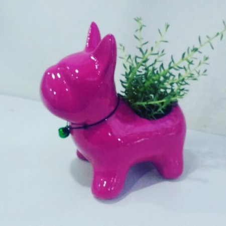 Perro Bulldog Frances en ceramica y resina   Todos los  colores Incluye planta suculenta   Valor : $ 30.OOO COP  Unidad- Incluye envio en BogotaEntrega 5 dias. 